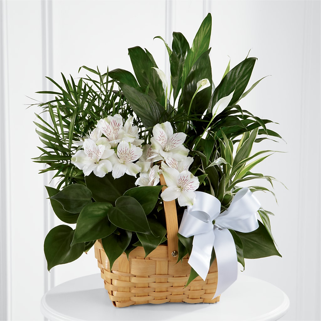Peace & Serenity Dishgarden – The Flower Gallery, Linden NJ