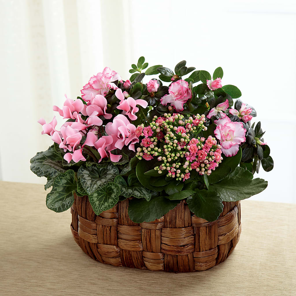 Pink Assortment – The Flower Gallery, Linden NJ