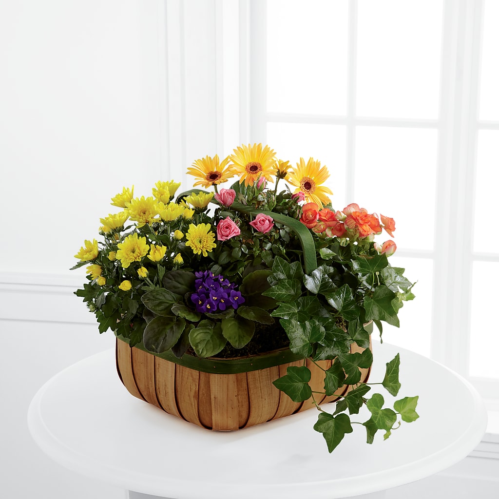 Gentle Blossoms Basket – The Flower Gallery, Linden NJ