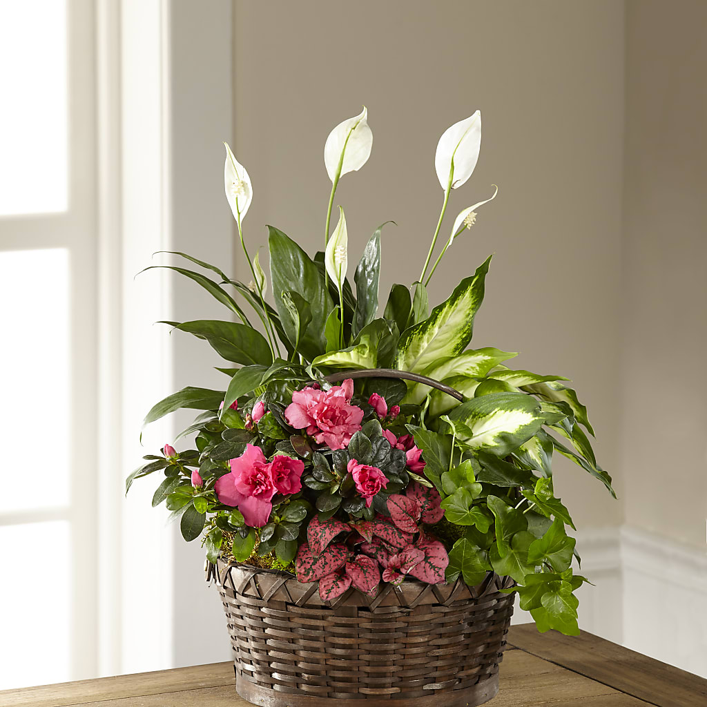 Dream in Pink Dishgarden – The Flower Gallery, Linden NJ