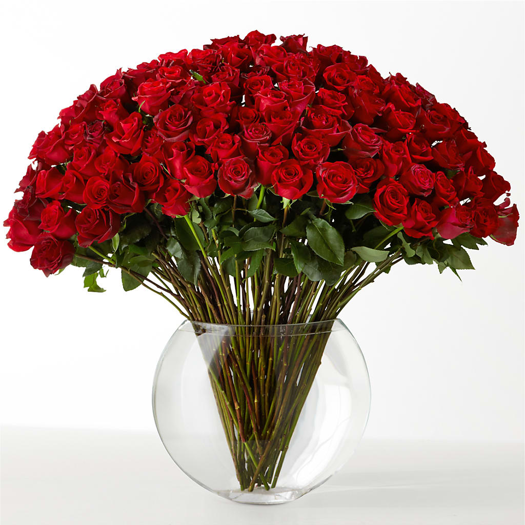 The Idealist – The Flower Gallery, Linden NJ