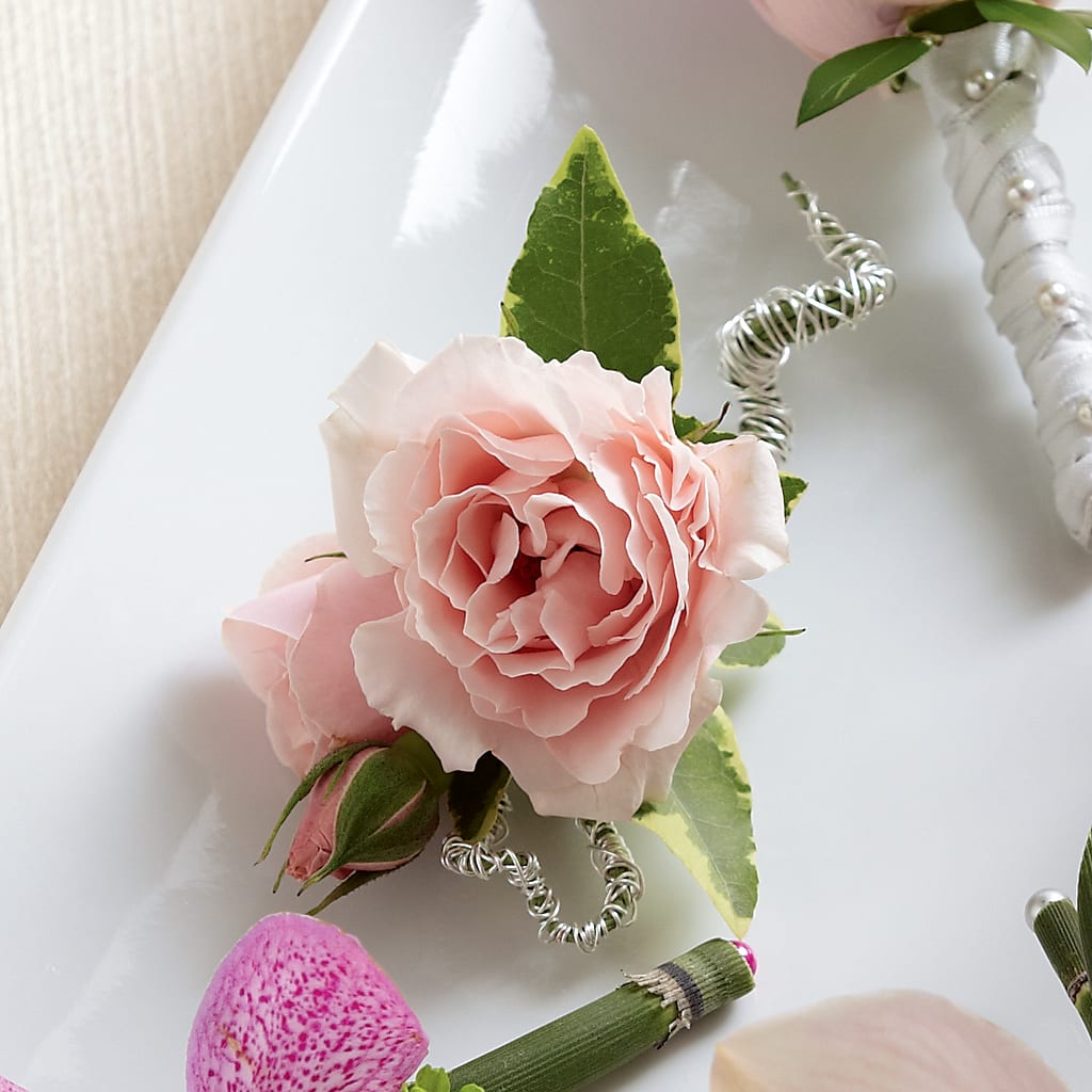 Pink Spray Rose Boutonniere – The Flower Gallery, Linden NJ