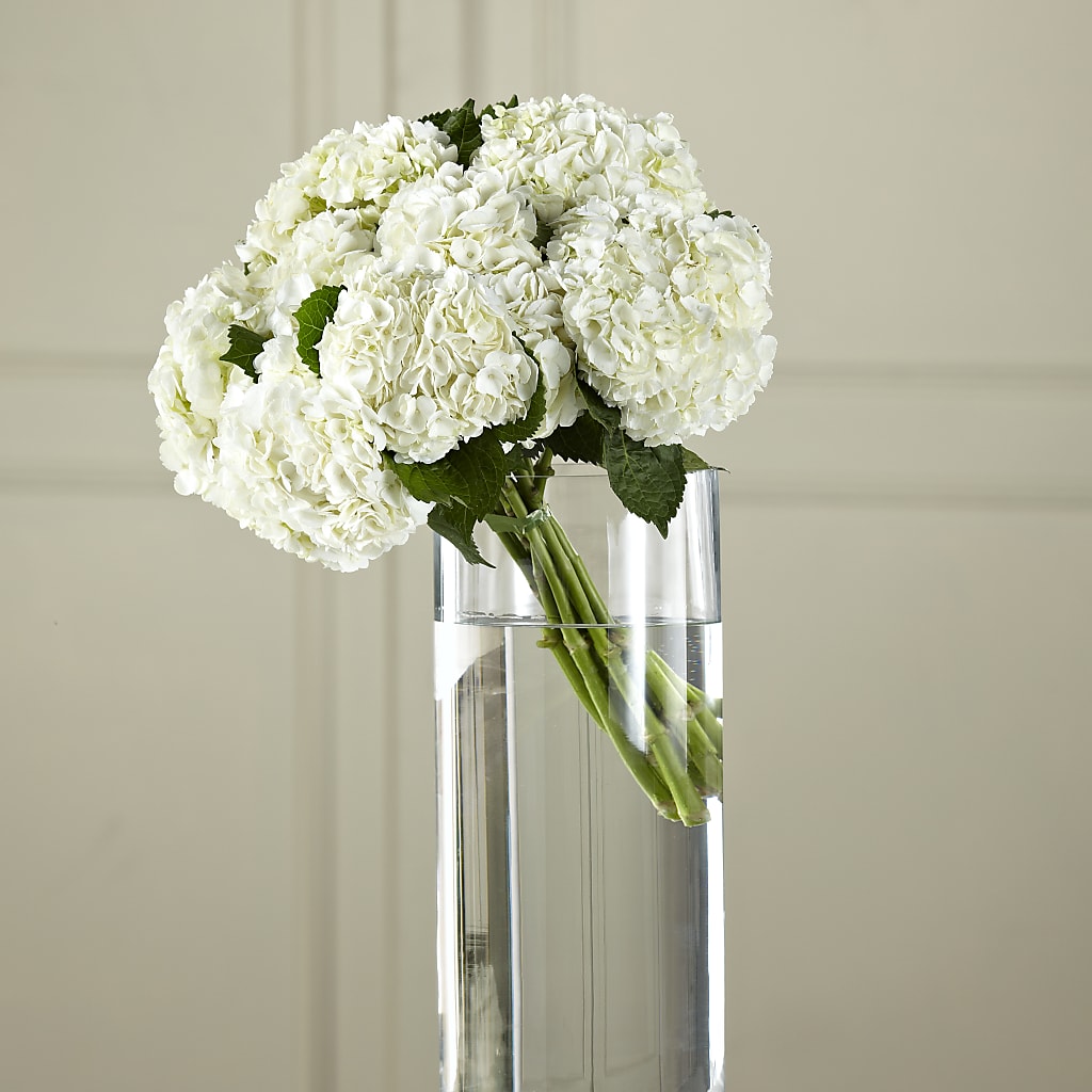 White Hydrangea Hand-Tied Bouquet – The Flower Gallery, Linden NJ