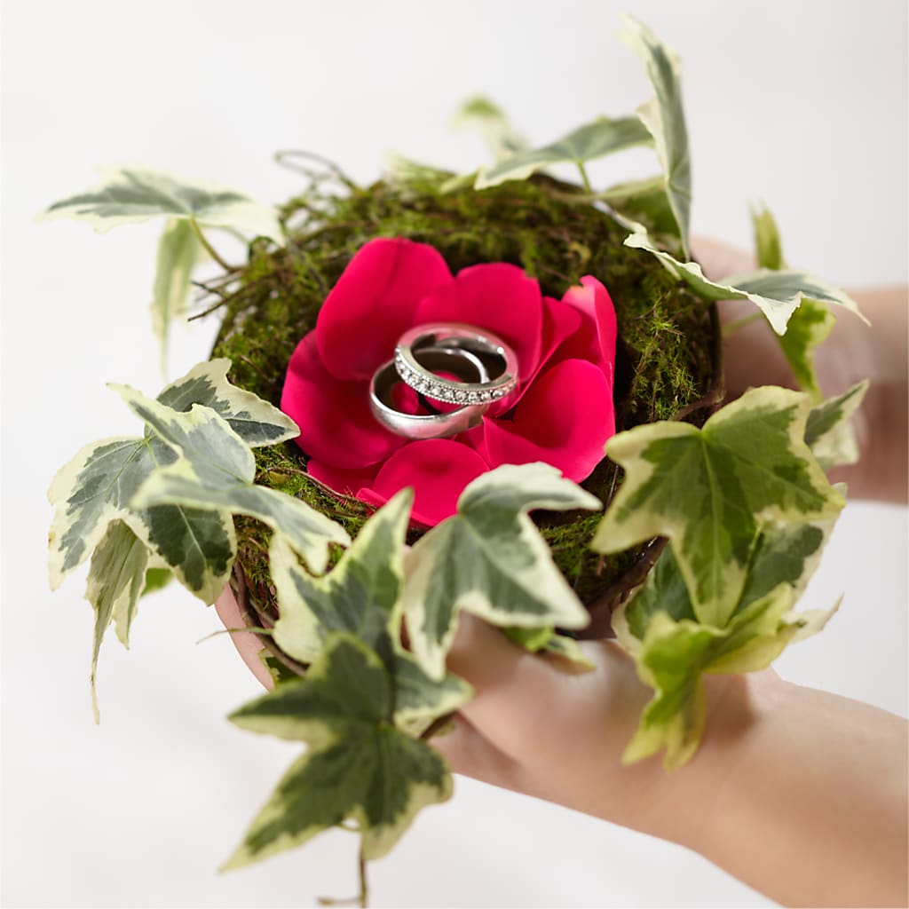 Lila Rose Ring Nest – The Flower Gallery, Linden NJ