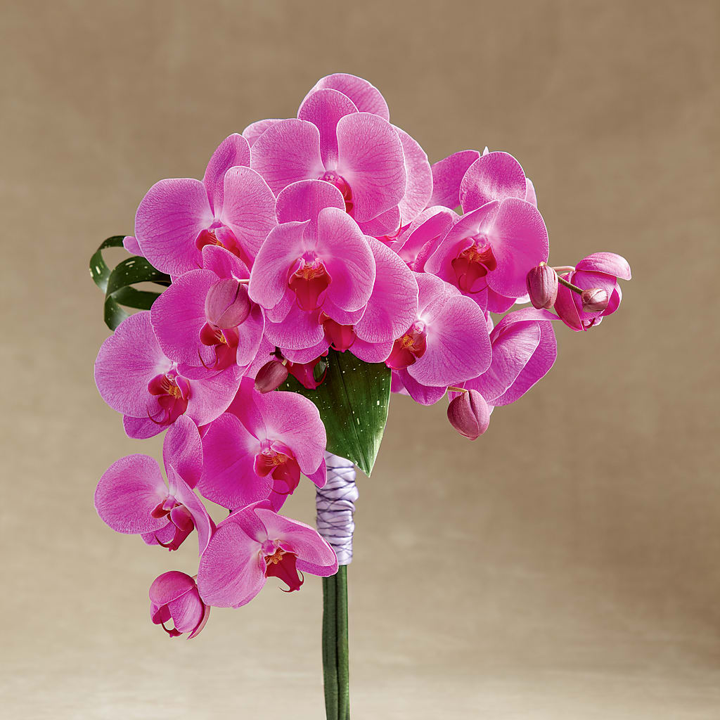 Glorious Bouquet – The Flower Gallery, Linden NJ