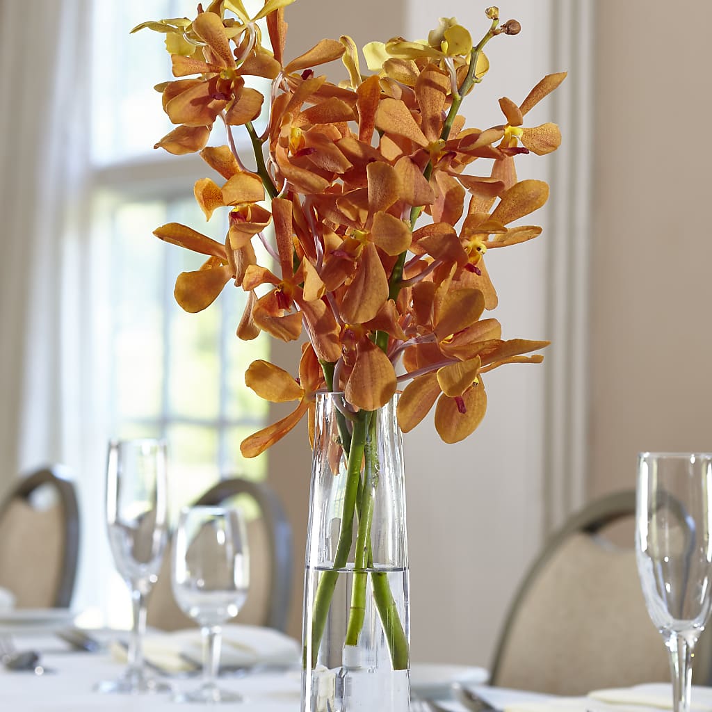 Orange Mokara Bud Vase – The Flower Gallery, Linden NJ
