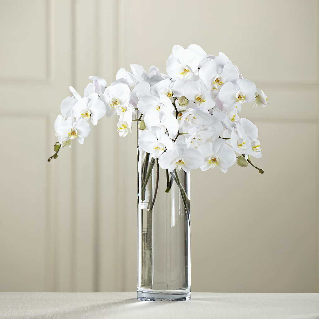 White Phalaenopsis Bouquet – The Flower Gallery, Linden NJ