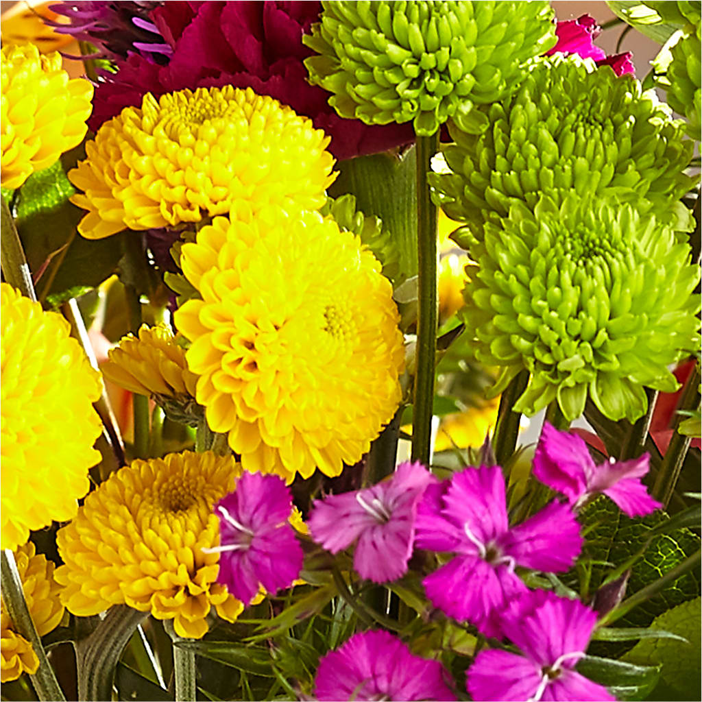 Bold & Bright – A Florist Original –  The Flower Gallery, Linden NJ
