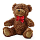 Adorable Plush Bear –  The Flower Gallery, Linden NJ