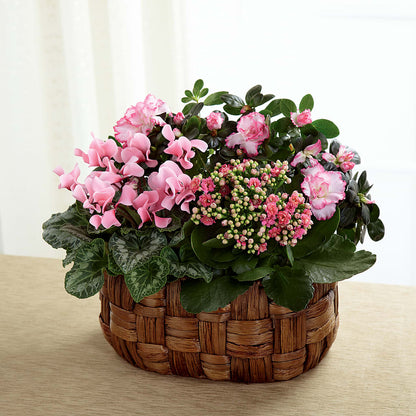 Pink Assortment –  The Flower Gallery, Linden NJ