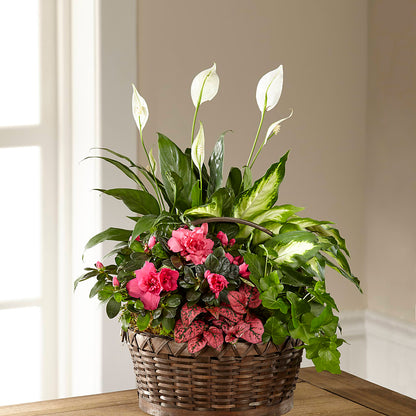 Dream in Pink Dishgarden –  The Flower Gallery, Linden NJ
