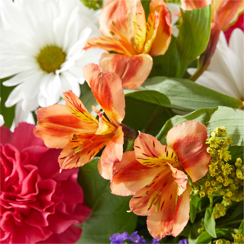 Oopsie Daisy Box Bouquet –  The Flower Gallery, Linden NJ