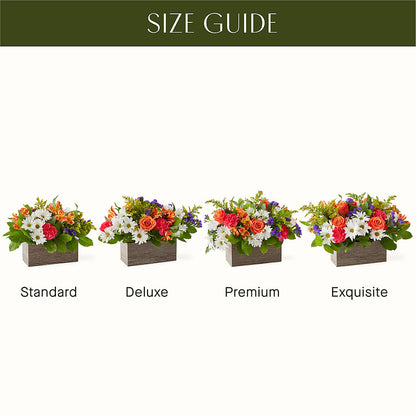 Oopsie Daisy Box Bouquet –  The Flower Gallery, Linden NJ