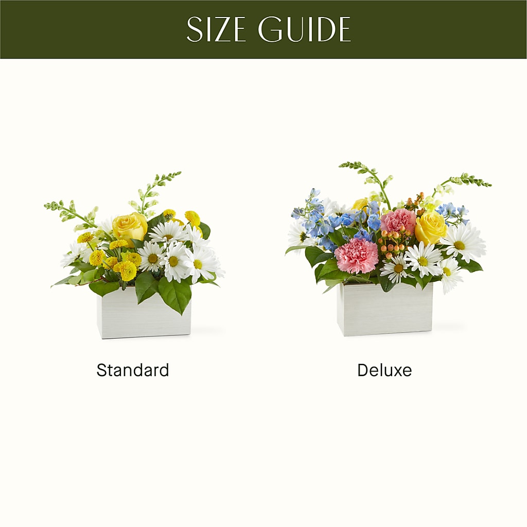 Sun Salutation Box Bouquet –  The Flower Gallery, Linden NJ
