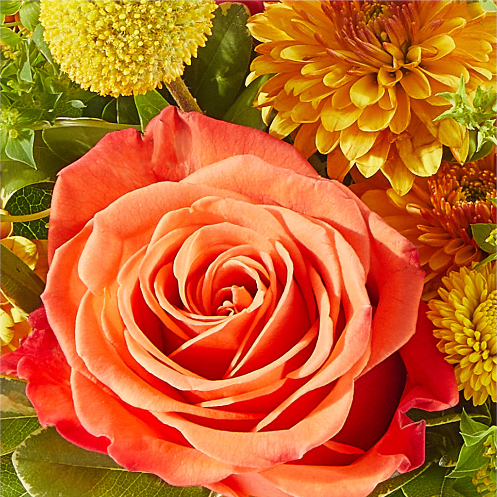 Gourdgeous Pumpkin –  The Flower Gallery, Linden NJ