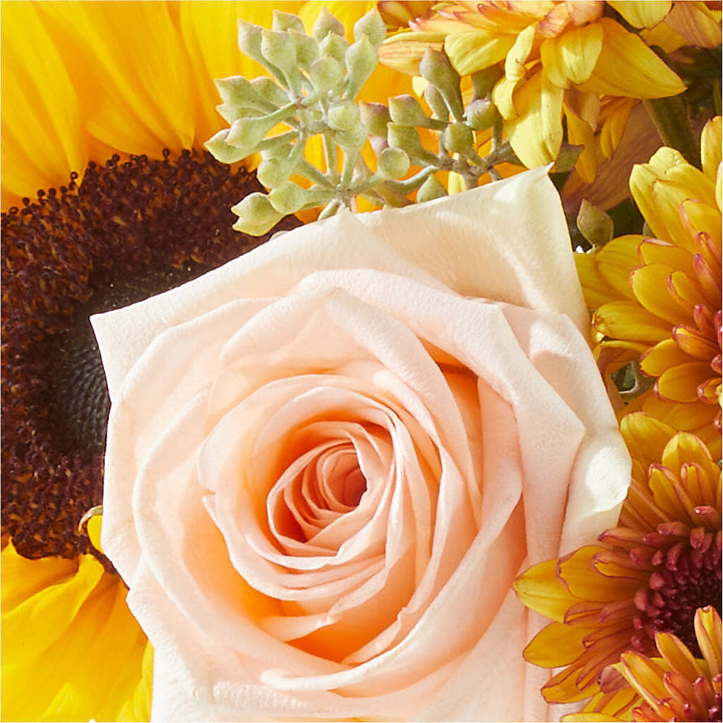 Pumpkin to Talk About Bouquet –  The Flower Gallery, Linden NJ