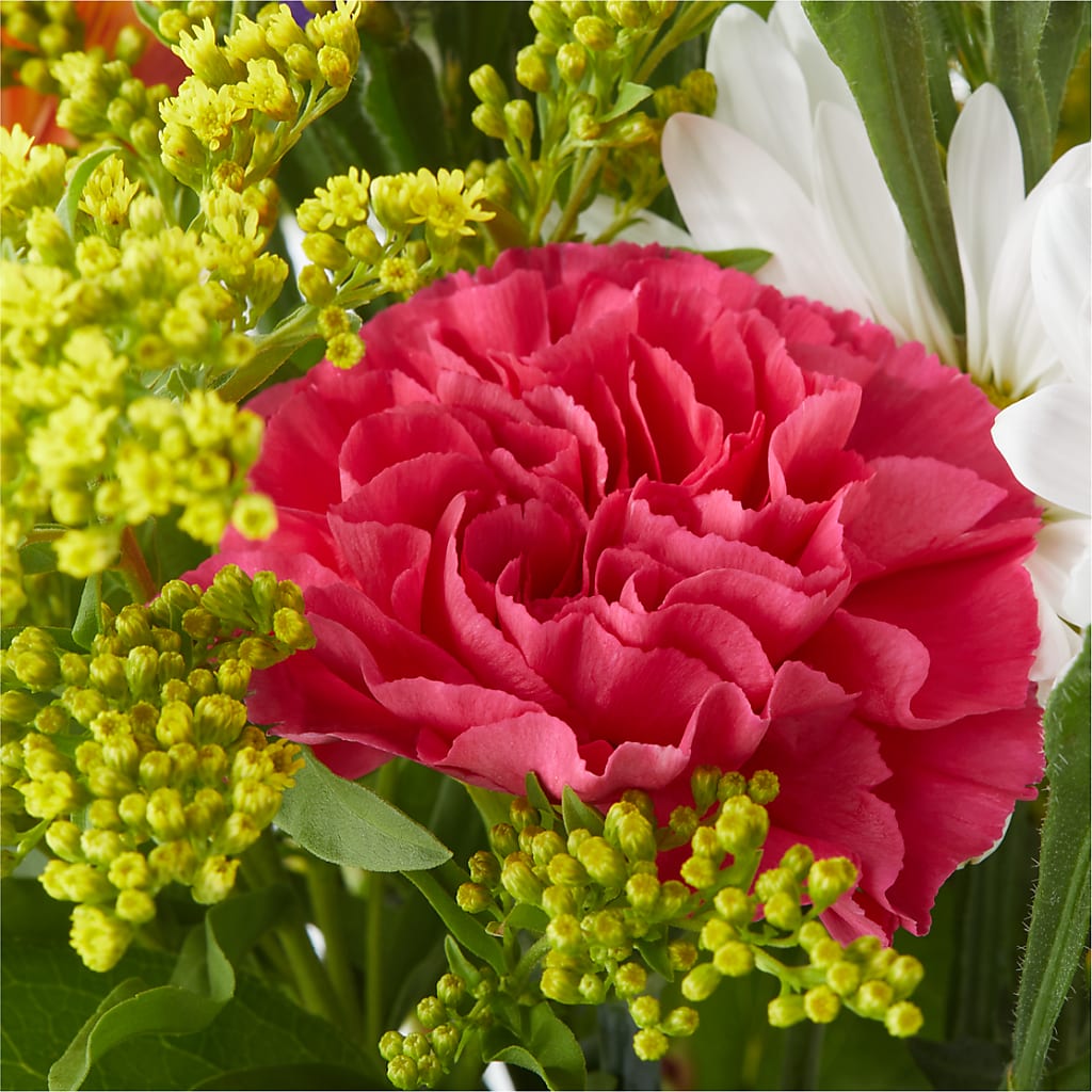 Oopsie Daisy Bouquet –  The Flower Gallery, Linden NJ