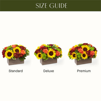 Happy Harvest Garden –  The Flower Gallery, Linden NJ