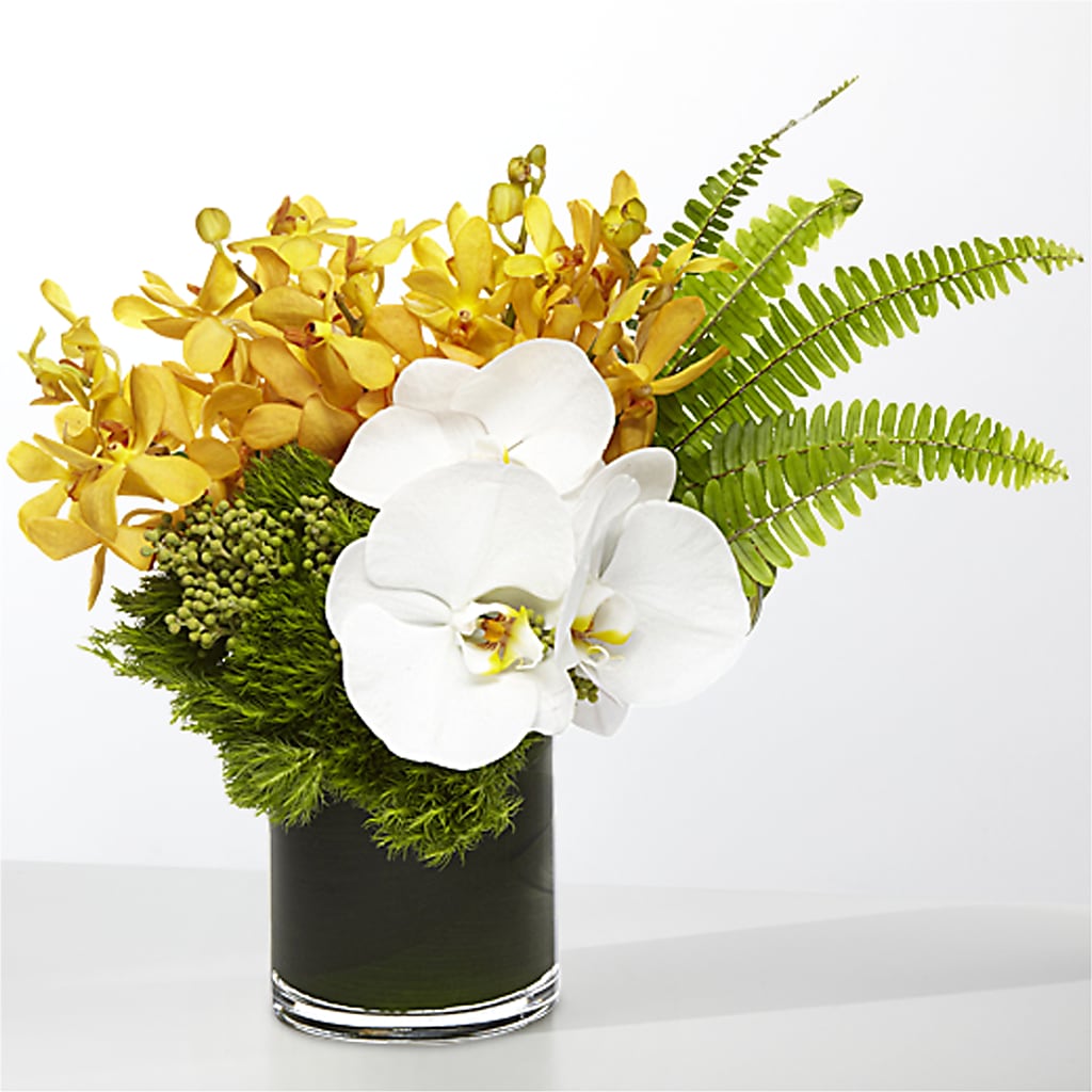 The Tropics –  The Flower Gallery, Linden NJ