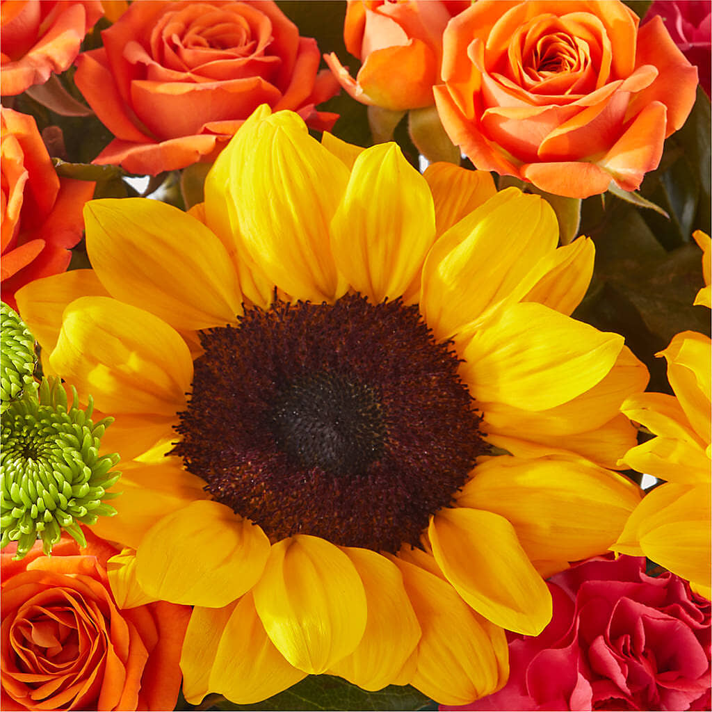 Sun-drenched Blooms Box Bouquet –  The Flower Gallery, Linden NJ