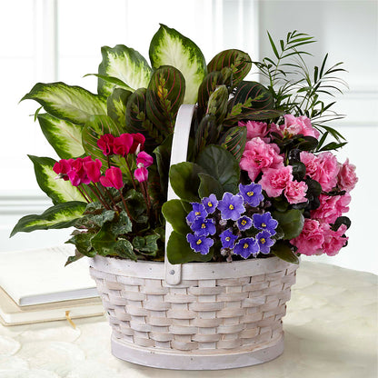 Peaceful Garden Planter –  The Flower Gallery, Linden NJ