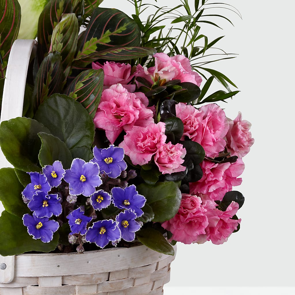 Peaceful Garden Planter –  The Flower Gallery, Linden NJ