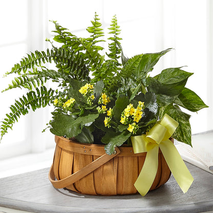 Always Dear Dishgarden –  The Flower Gallery, Linden NJ