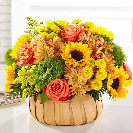 Harvest Sunflower Basket –  The Flower Gallery, Linden NJ