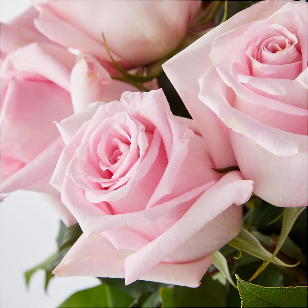 Picture Perfect Pink Rose Bouquet –  The Flower Gallery, Linden NJ