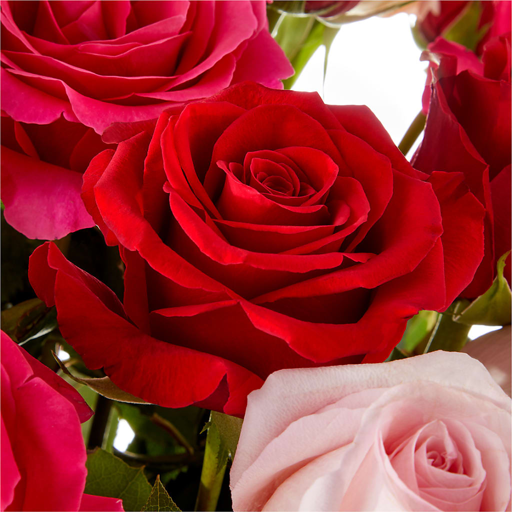 Love Notes Rose Bouquet –  The Flower Gallery, Linden NJ