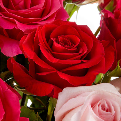 Love Notes Rose Bouquet –  The Flower Gallery, Linden NJ