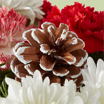 Candy Cane Lane Bouquet –  The Flower Gallery, Linden NJ
