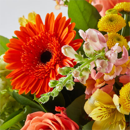 Autumn Sunshine Bouquet –  The Flower Gallery, Linden NJ