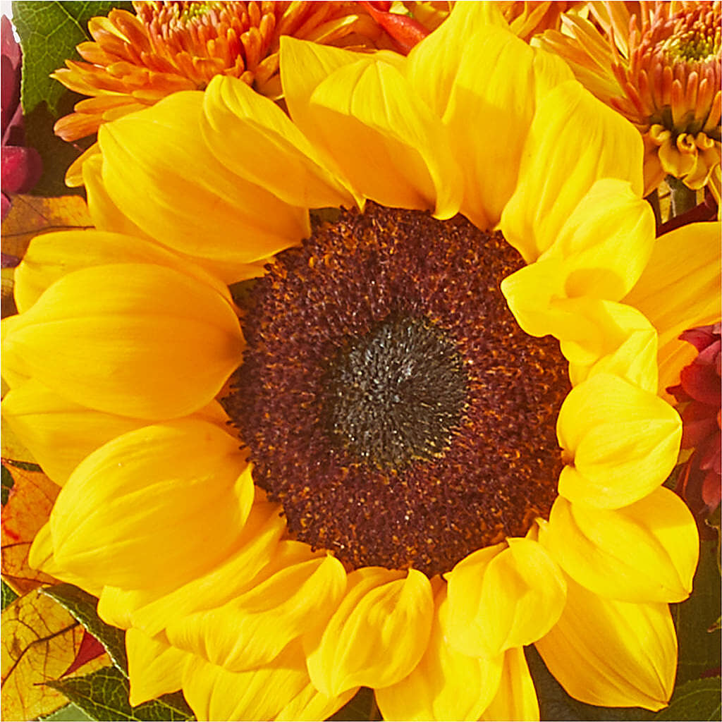 Sunny Side Bouquet –  The Flower Gallery, Linden NJ