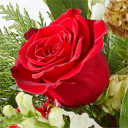 Deck the Halls Bouquet –  The Flower Gallery, Linden NJ