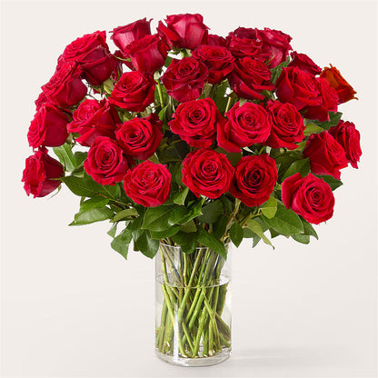 The One Red Rose Bouquet –  The Flower Gallery, Linden NJ
