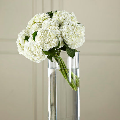 White Hydrangea Hand-Tied Bouquet –  The Flower Gallery, Linden NJ