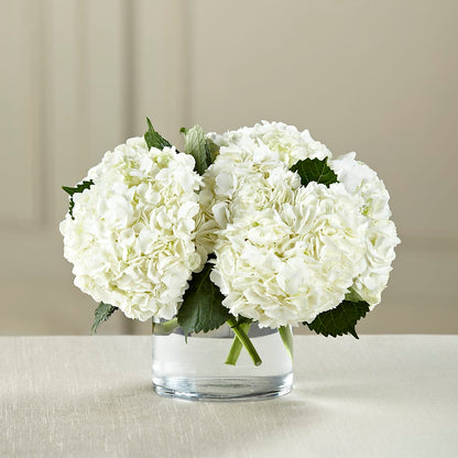 White Hydrangea Bouquet –  The Flower Gallery, Linden NJ