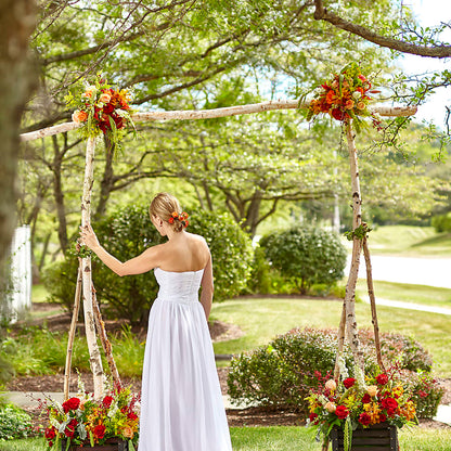Arbor of Love Archway –  The Flower Gallery, Linden NJ