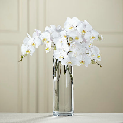 White Phalaenopsis Bouquet –  The Flower Gallery, Linden NJ
